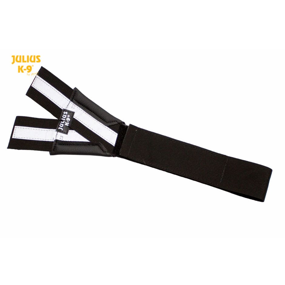 Julius K-9 Front Control Y-Belt - 3 & 4 Padded With No D