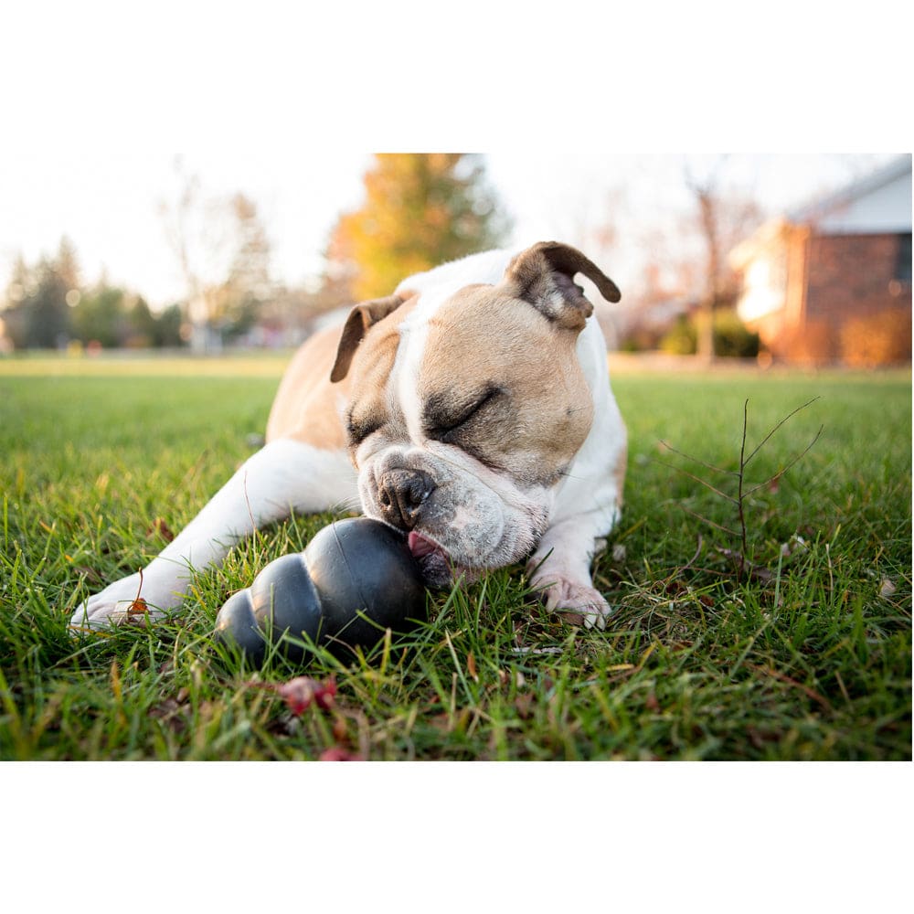 Kong Extreme Dog Toy - Pet Bound Co.