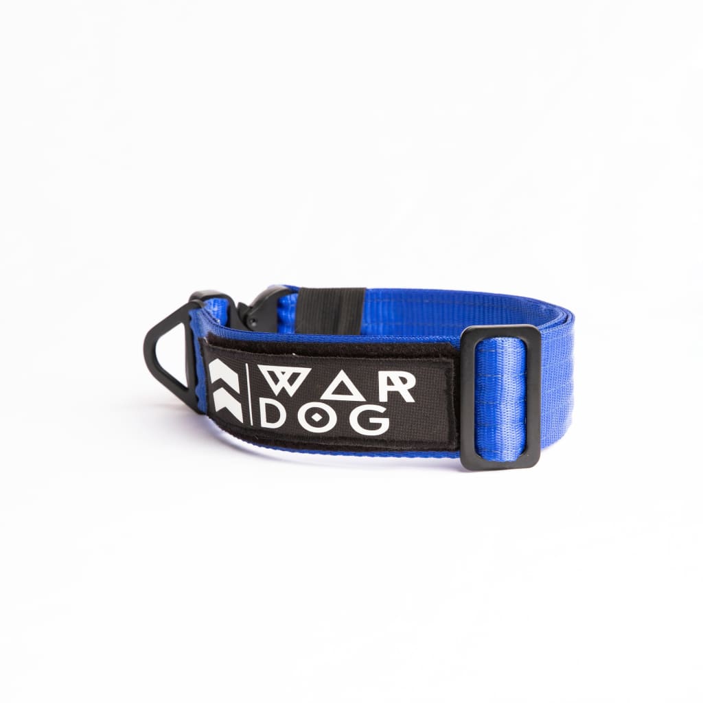 War Dog FOXTROT RIGID Collar - 50mm - foxtrot collar