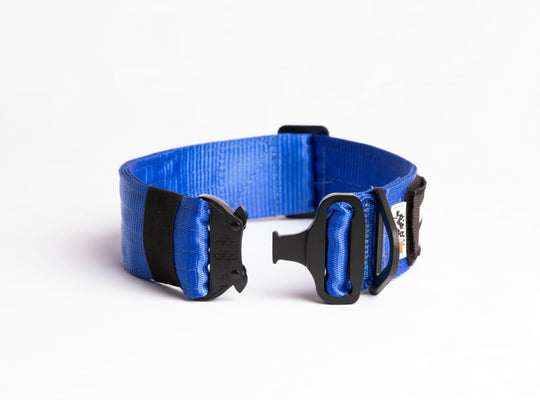 War Dog FOXTROT RIGID Collar - 50mm - foxtrot collar