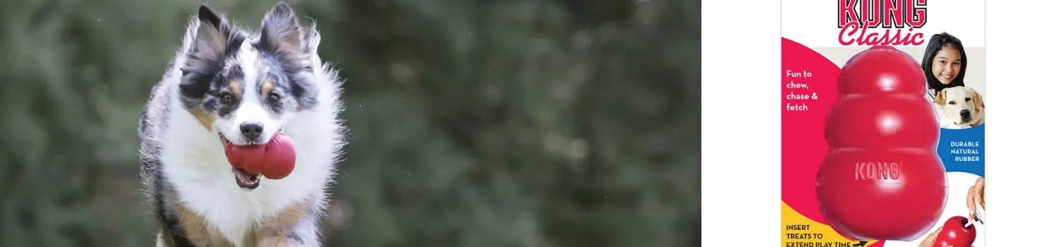 KONG