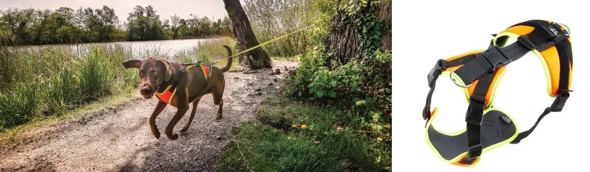 man work harness by julius k-9