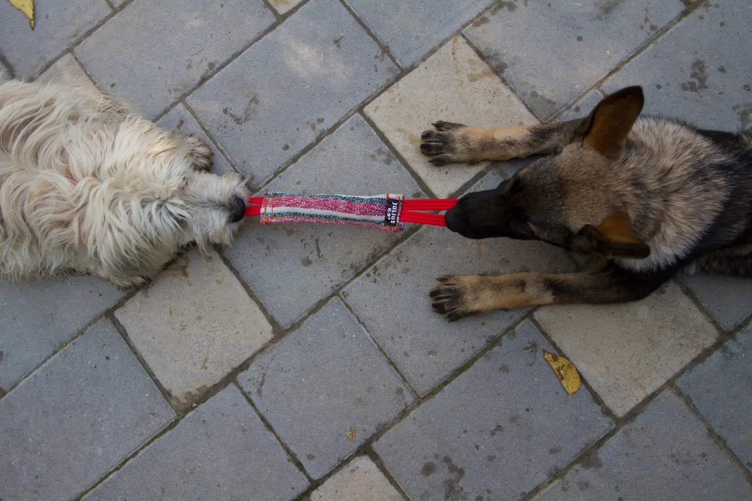 Toys Julius K-9
