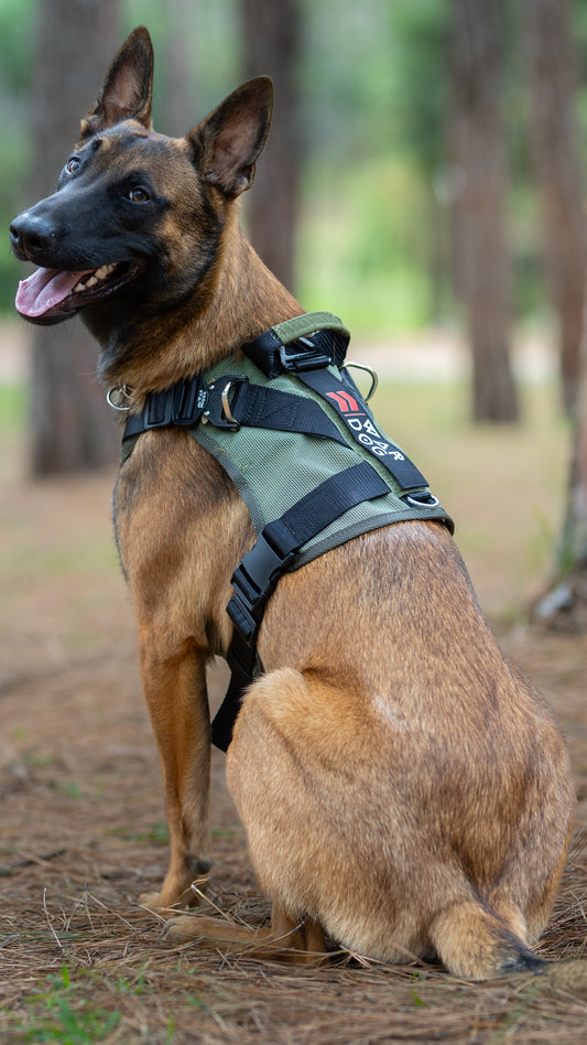 War Dog Air Mesh Ghost Harness
