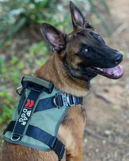 War Dog Air Mesh Ghost Harness