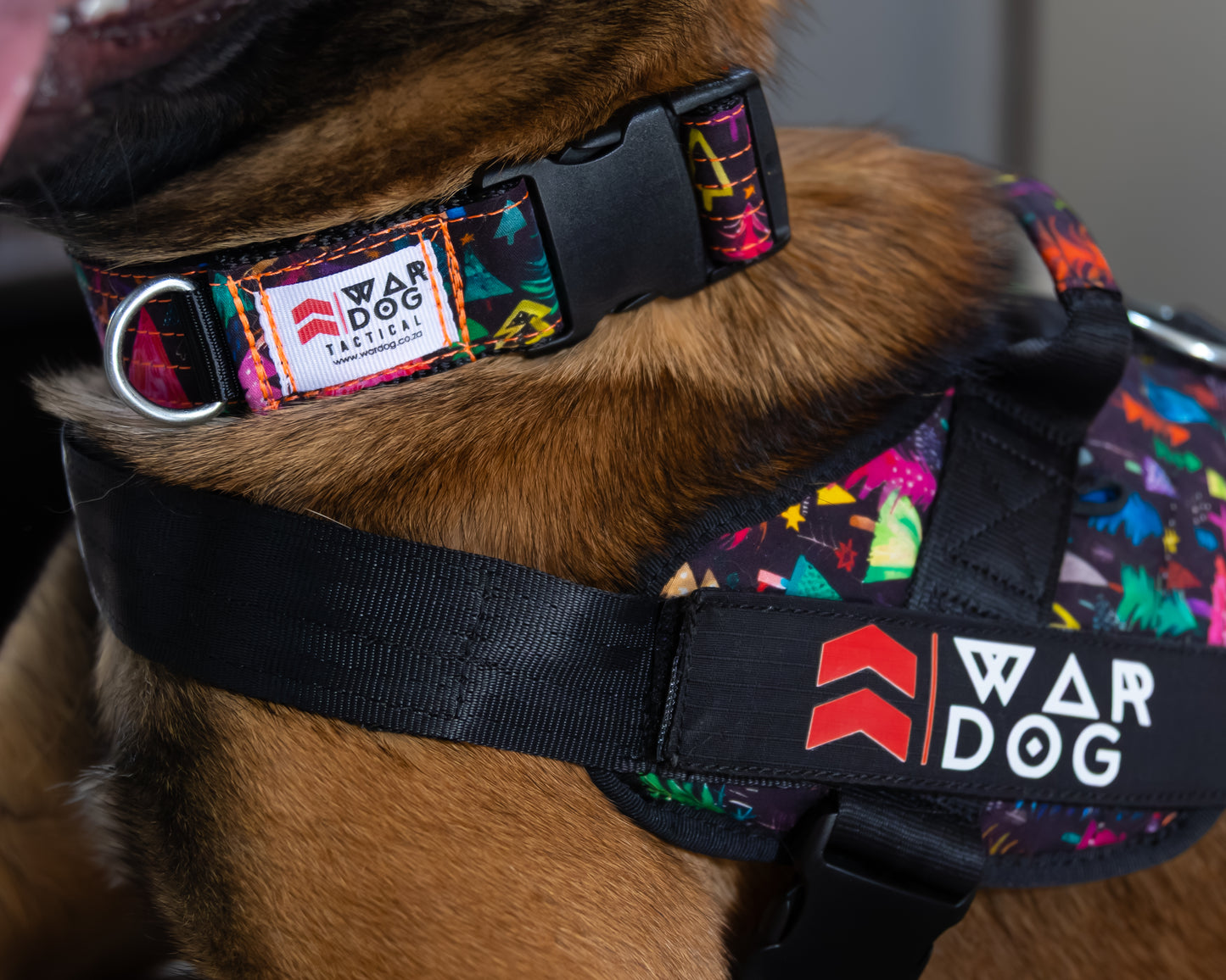 War Dog Festive Harness