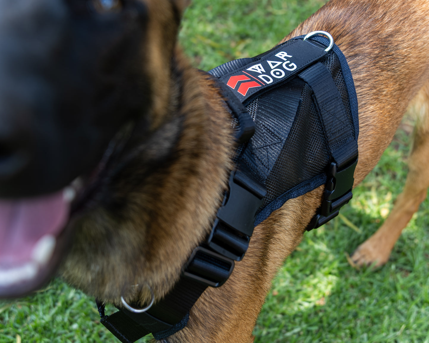 War Dog Air Mesh Ghost Harness