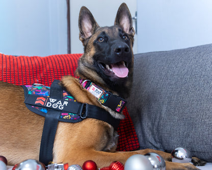 War Dog Festive Harness