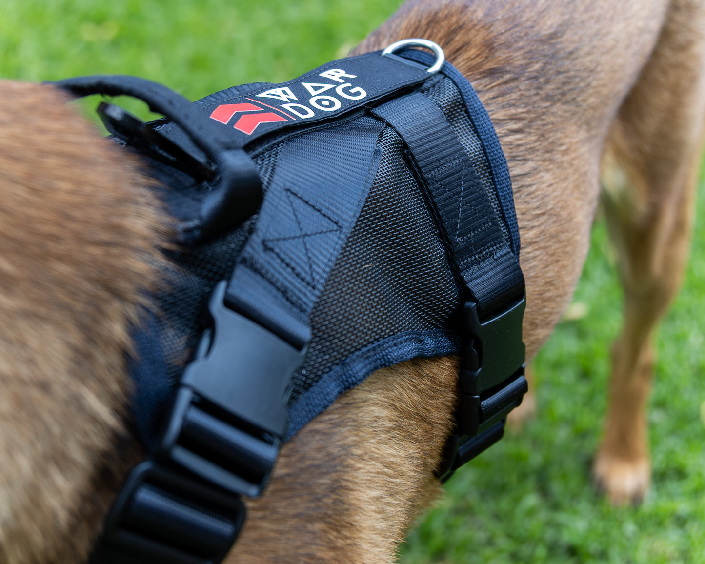 War Dog Air Mesh Ghost Harness
