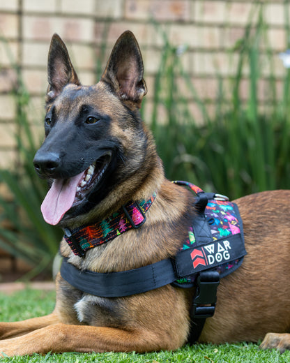 War Dog Festive Harness