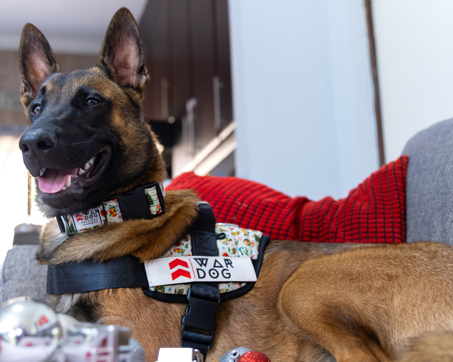 War Dog Festive Harness