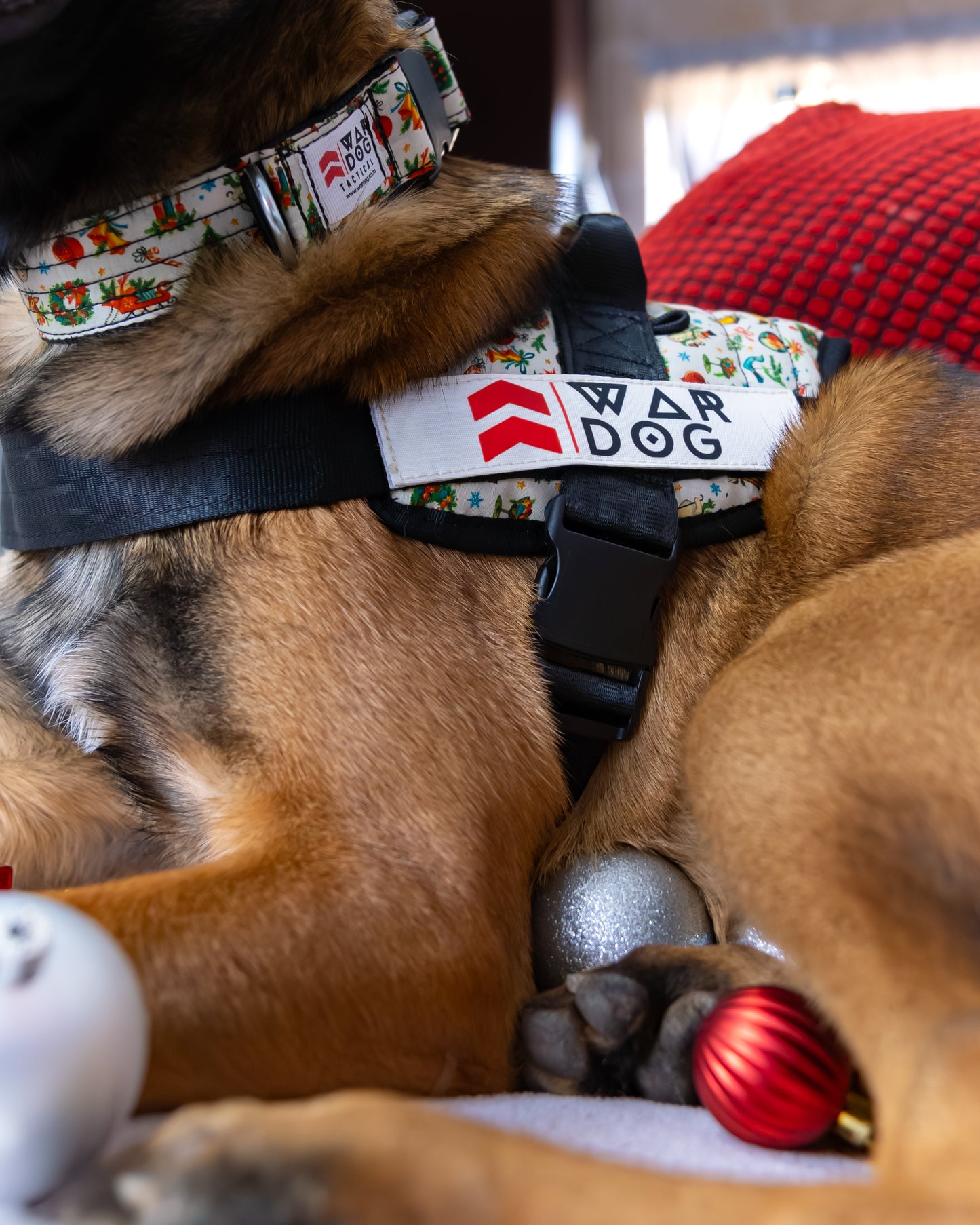 War Dog Festive Harness