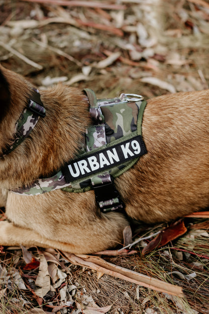 WD Pets Urban Adventurer Harness