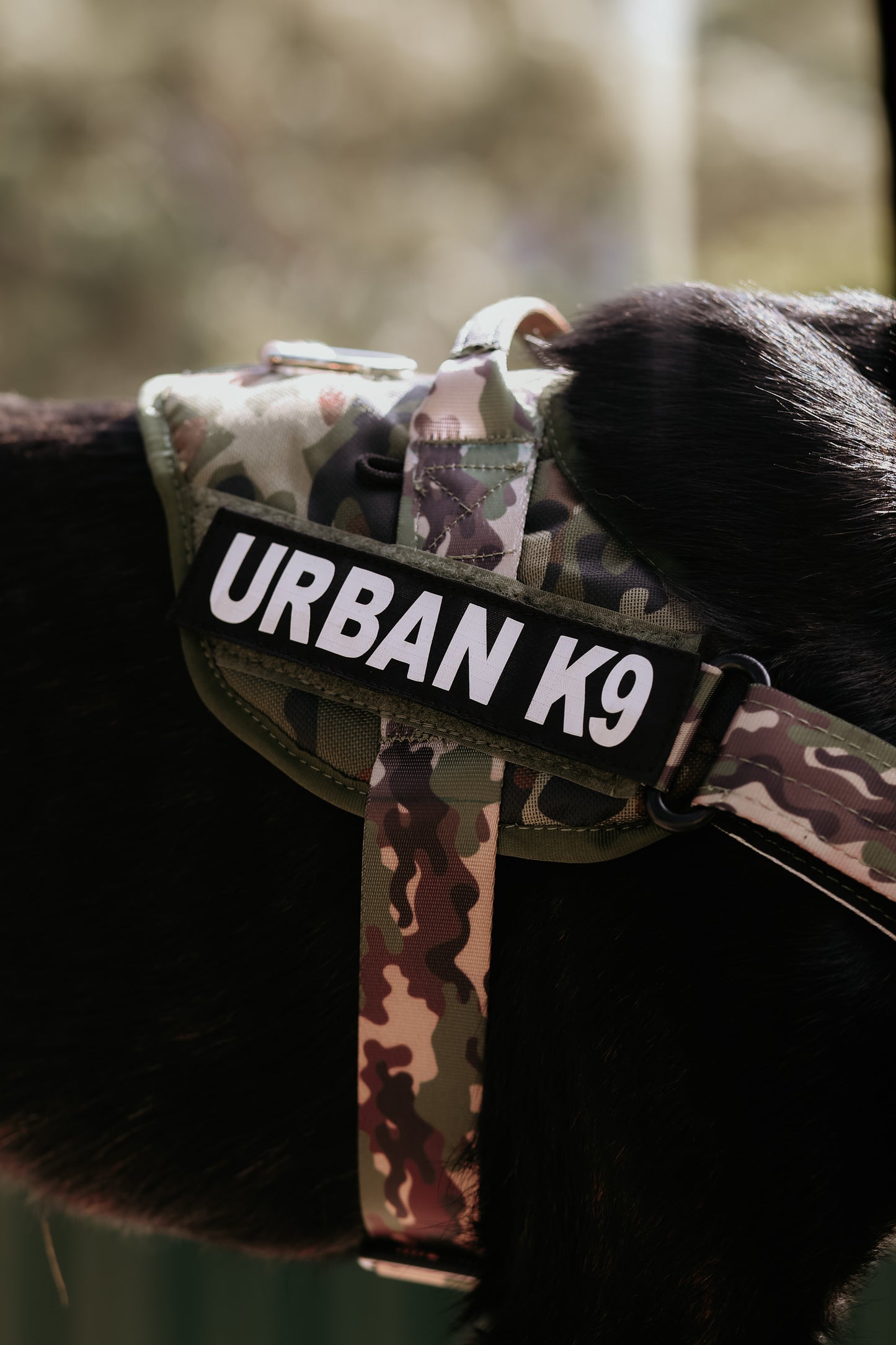 WD Pets Urban Adventurer Harness