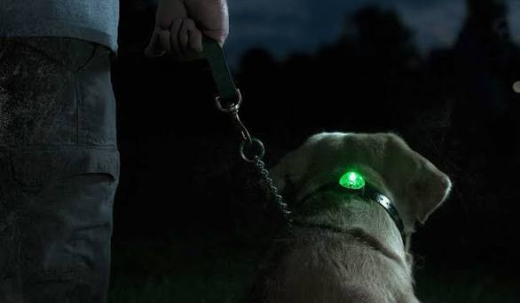 Locator Beacon Light