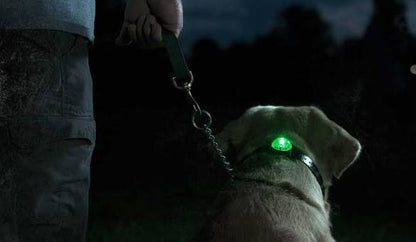 Locator Beacon Light
