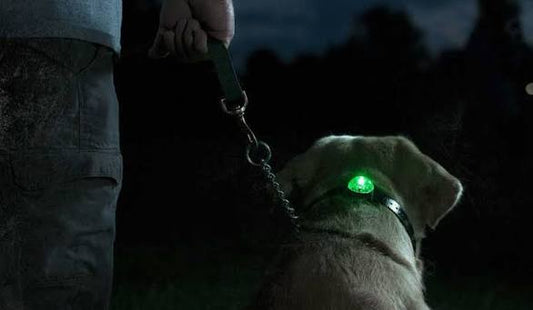 Locator Beacon Light