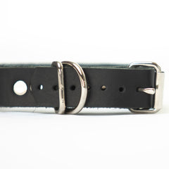 Dapper Dog - Leather Collar - Collar