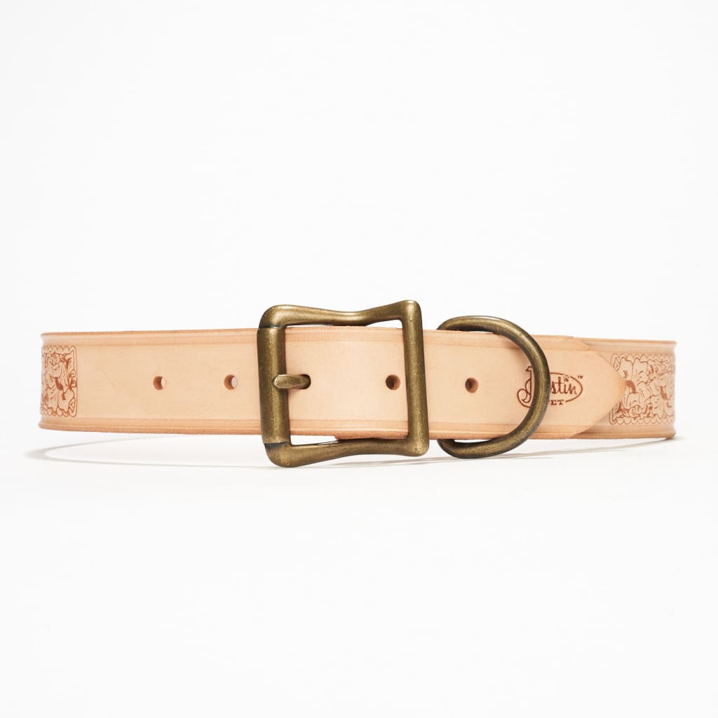 Deluxe Leather Dog Collar - Leather Collar