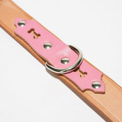 Deluxe Leather Dog Collar - Medium / Pink Trim - Leather 