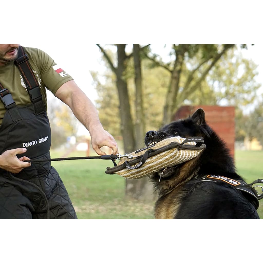Dingo Gear Mesh Dog Trainers Vest, Black