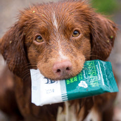 Hownd - Yup You Stink! Emergency Antibacterial Dog Wipes - Pet Bound Co.