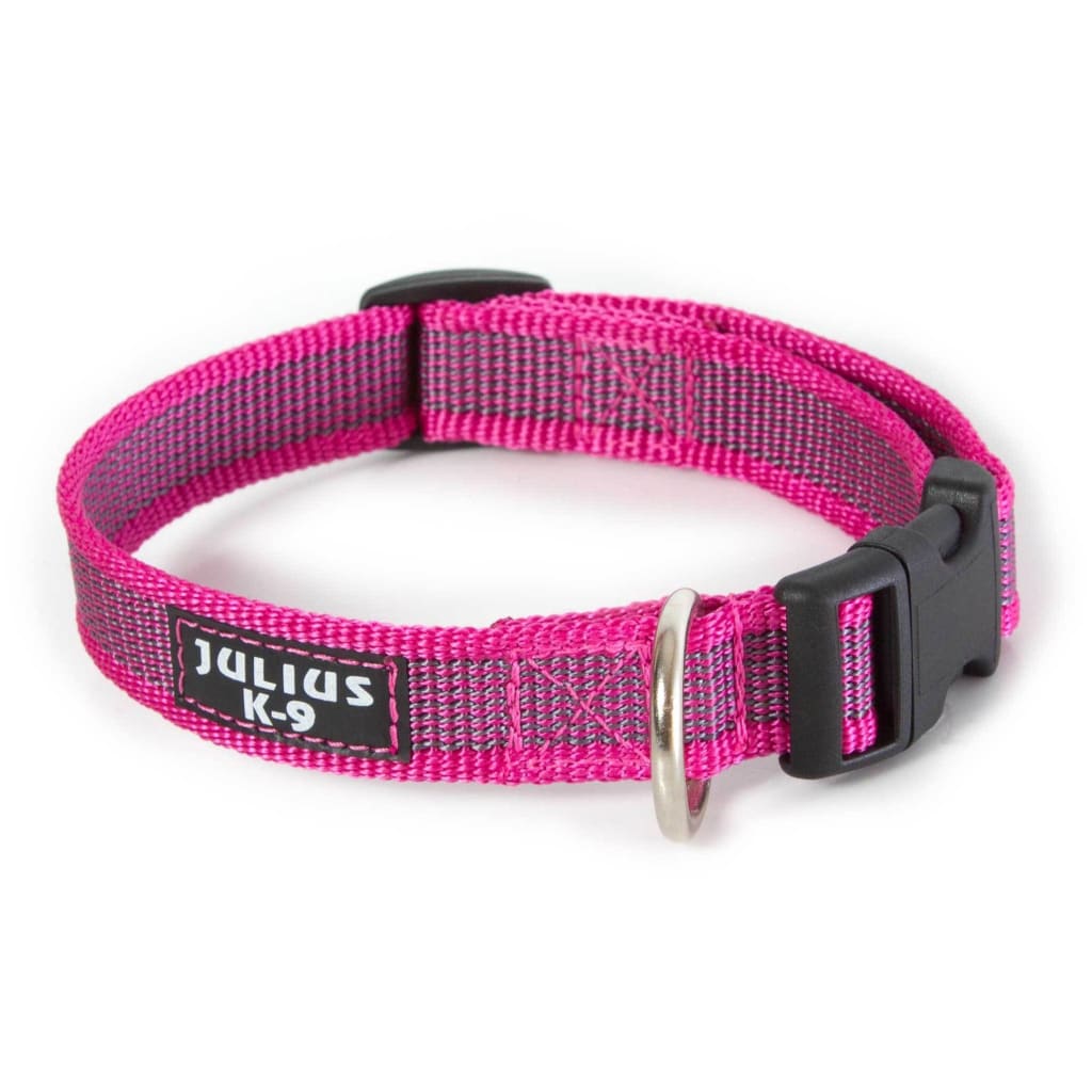 Julius K-9 Colour Collars - Pet Bound Co.