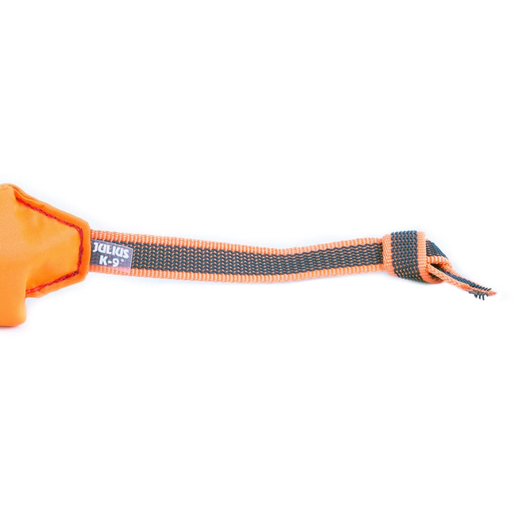 Julius K-9 Swimming Toy - Pet Bound Co.