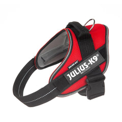Julius K9 Powair Summer Harness - powair harness