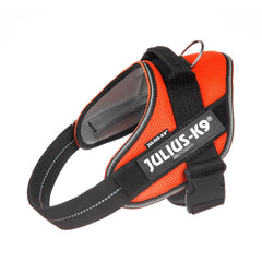 Julius K9 Powair Summer Harness - powair harness