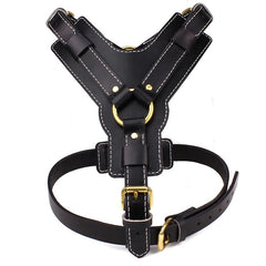 Strong Leather Harness - Pet Bound Co.