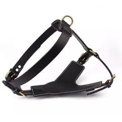 Strong Leather Harness - Pet Bound Co.