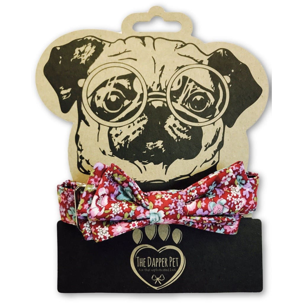 The Dapper Pet Spring Bow Tie Collar - Pet Bound Co.
