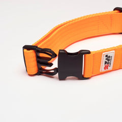 War Dog 38mm Light Collar - echo collar