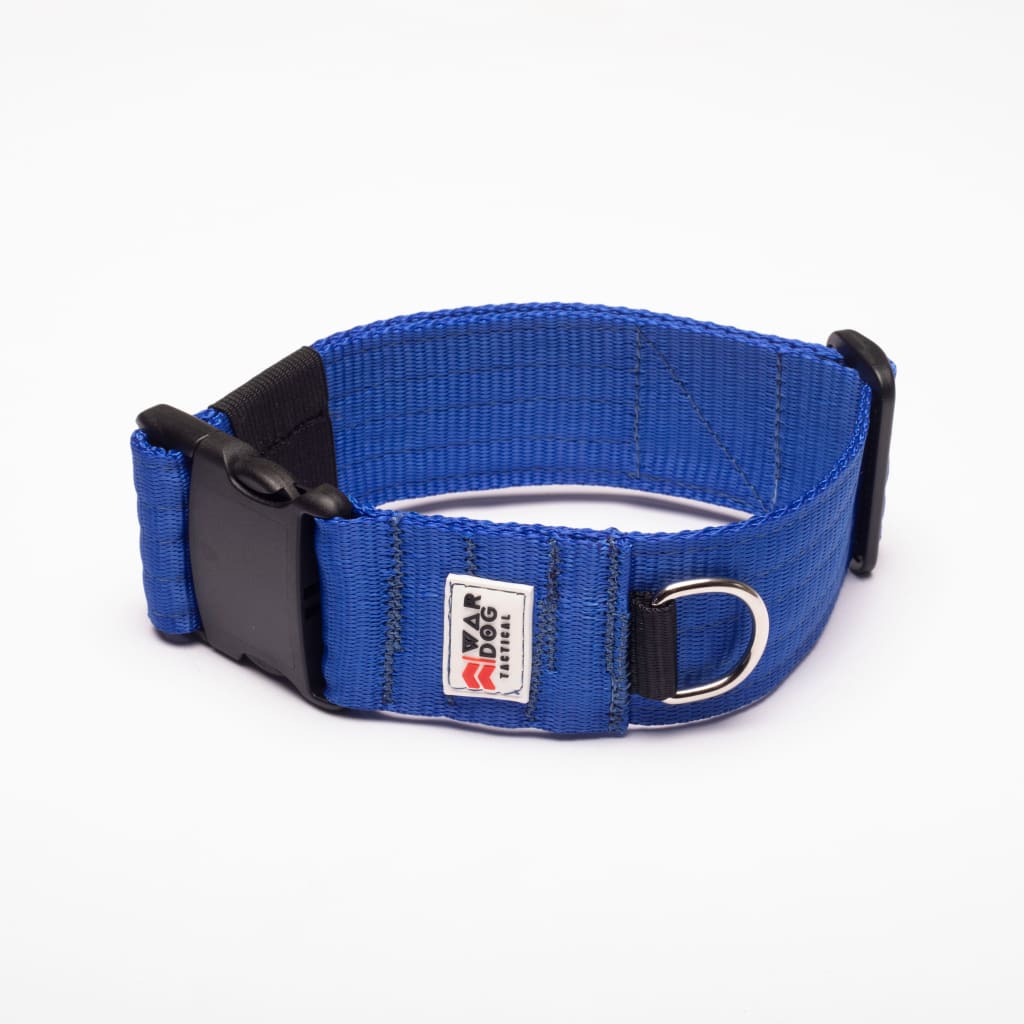 War Dog 50mm Light Collar - echo collar