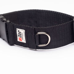 War Dog 50mm Light Collar - echo collar