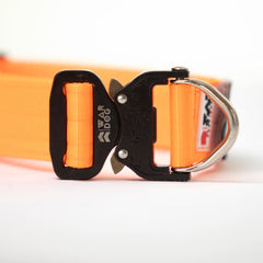 War Dog ECHO RIGID Collar - 38mm - Medium / UV Orange - echo