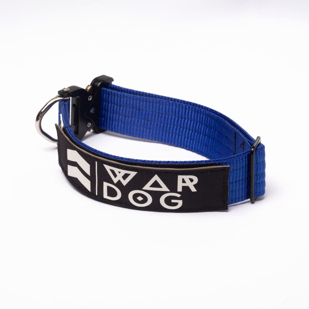 War Dog ECHO RIGID Collar - 38mm - Small / Blue - echo 