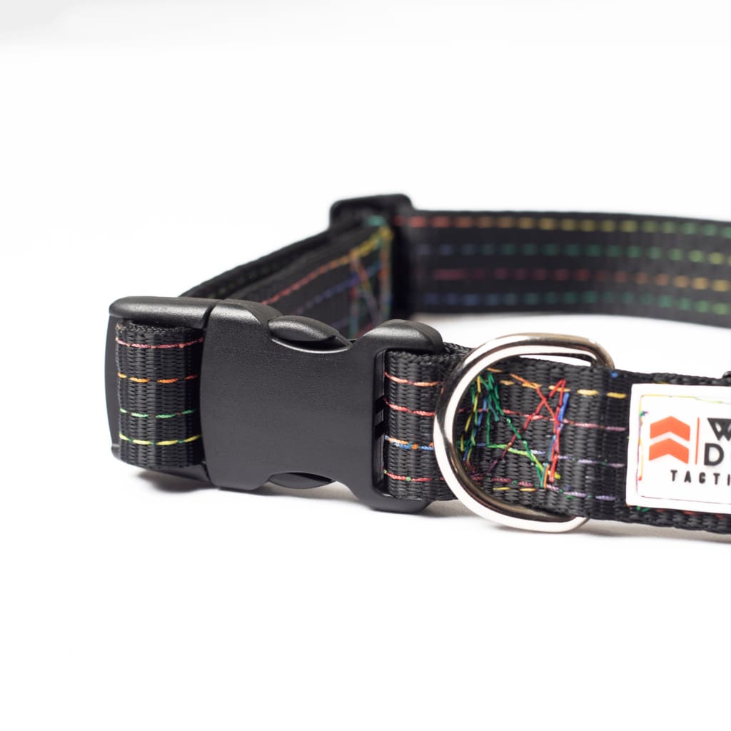 War Dog Everyday Collar - everyday