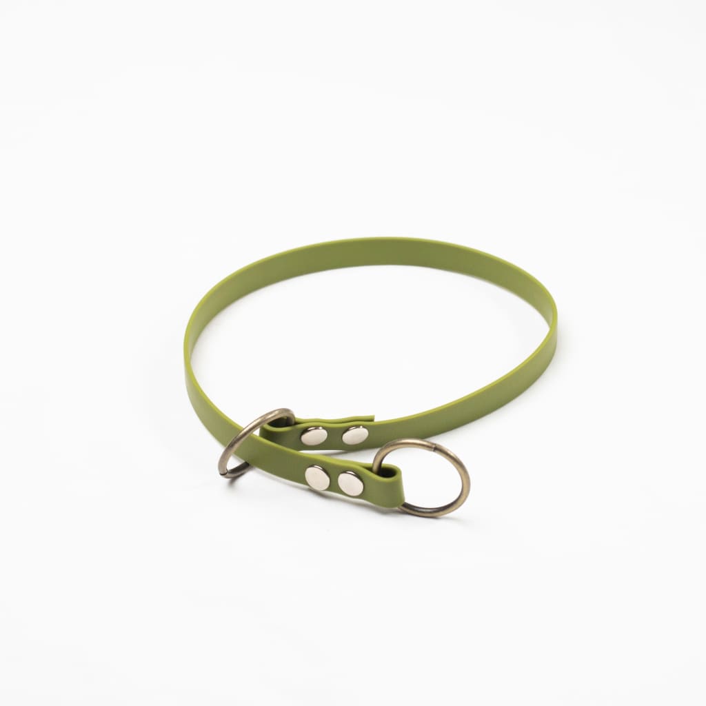 War Dog Slip Collar - Dog Apparel