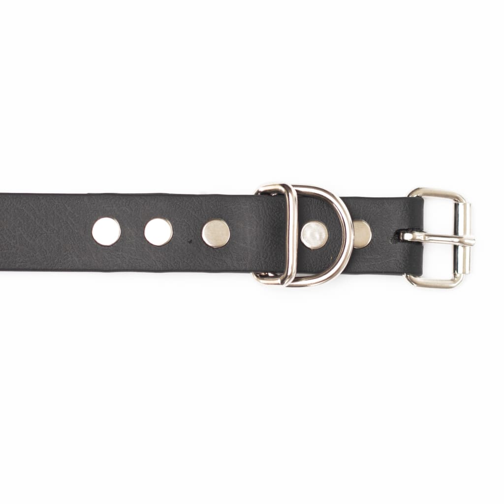 War Dog Waterproof Dog Collars - Small / Black - Collar